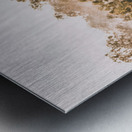 Picturesque Prairie Metal print