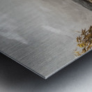 Overcast Rusticity Metal print