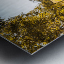 Summer Gold Metal print