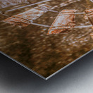 Shades Of Autumns Rust Metal print