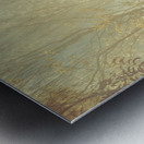 Mystified Metal print