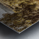 Branch Creek And Beyond Metal print