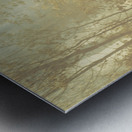 Wild Vagueness Metal print