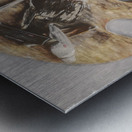 Studio Mix Metal print