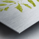 Painted Gum Metal print