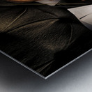 Strings And Songs Metal print