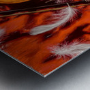 Wistful Symphony Metal print