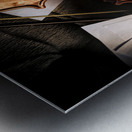 Passions In Play Metal print