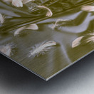 Feather n Fiddle Metal print