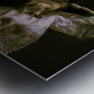 Twilight Tunes Metal print