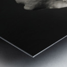 Beauty And Atmosphere Metal print