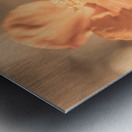 Wildflower Wonders Metal print