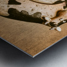 Barn Farmplay Metal print