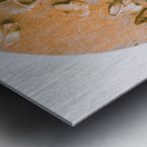 Falls Gold Metal print