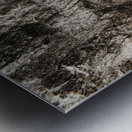 Shaped By Weather And Time Metal print