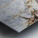 Raw Beauty Metal print