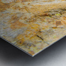 Flecks And Specks Metal print