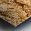 Rich And Vibrant Metal print