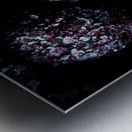 Frozen Blueberries Metal print