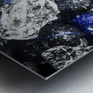 Berry Bar Metal print