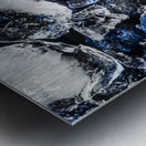 Summer Berries Metal print