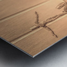 Stage Craft Metal print