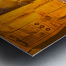 Fimble And Fred Metal print