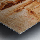 Dressmaker Dreams Metal print