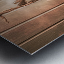 Circus Sew Lair Metal print