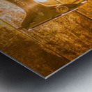 Vintage Sewing Machine Metal print