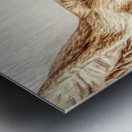 Country Lookout Metal print