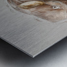 A Play On The Outbacks Metal print