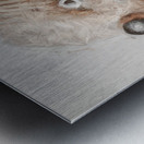 Wombat Quirk Metal print