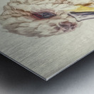 Kookaburra Perch Metal print