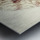 Outback Heights Metal print