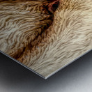 Rustic Country Calm Metal print