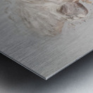 Playful Platypus Metal print