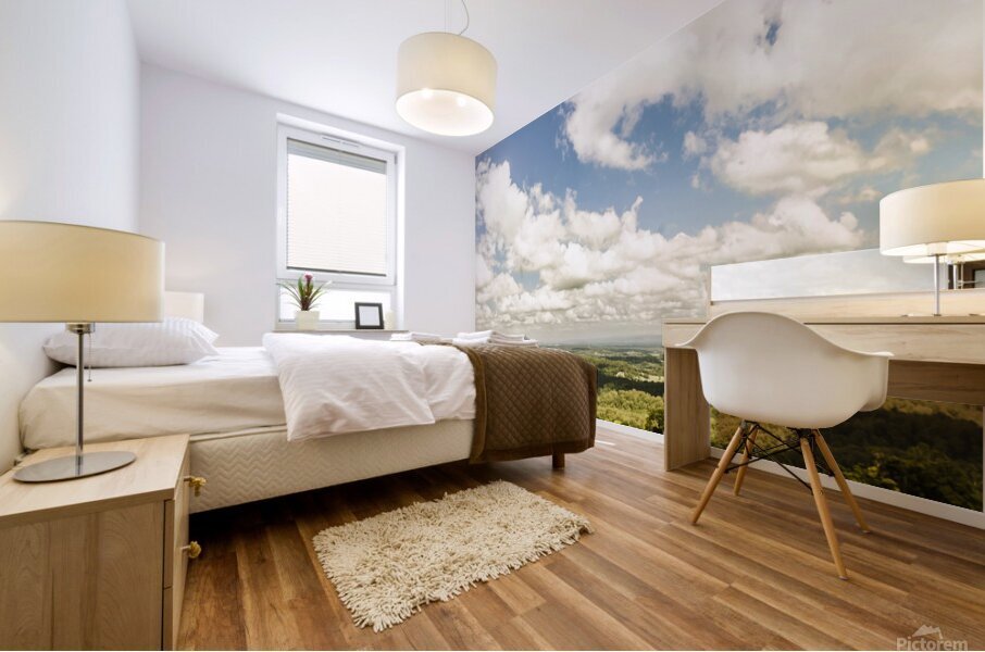 Sunshine Coast Hinterland Panoramic  Mural print