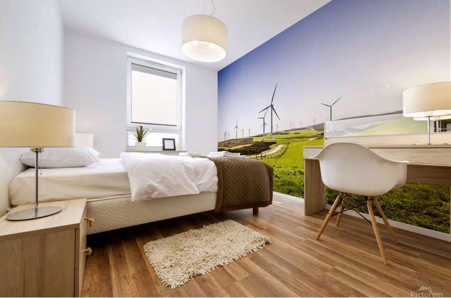 Winds from west Woolnorth Mural print