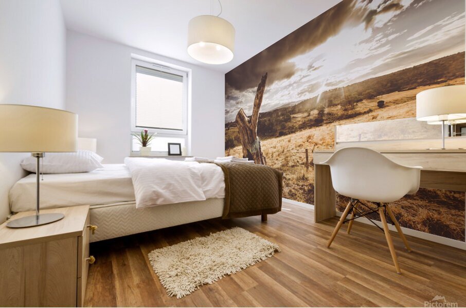 Cranbrook sunset Mural print