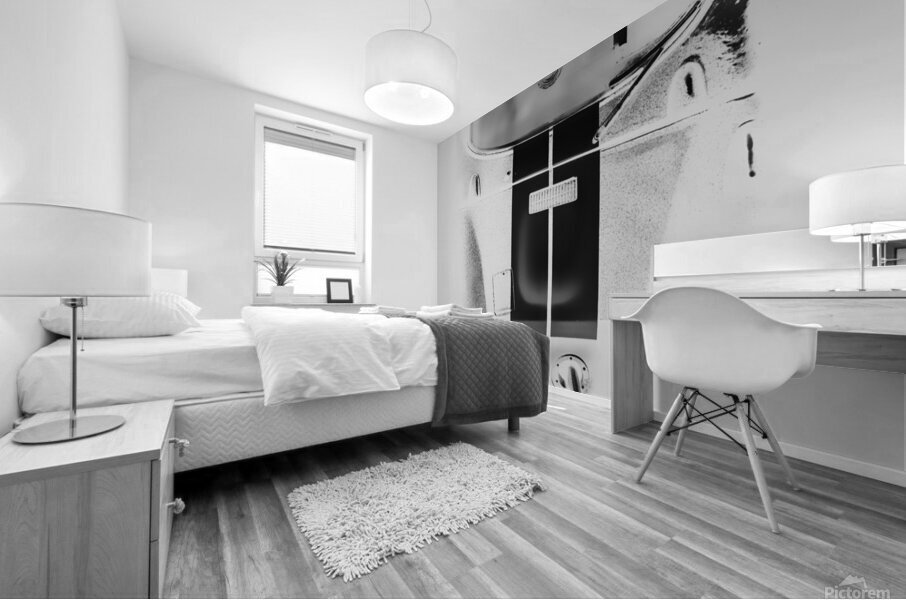 Racing Stripes Mural print