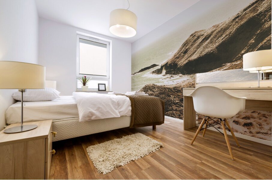 Rugged rocky cape Mural print