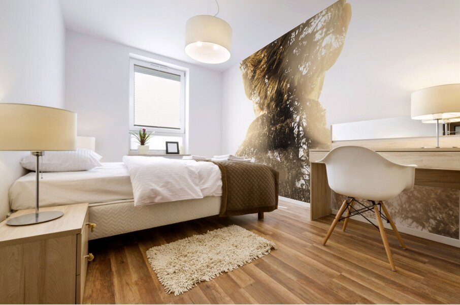 Finding spirit within Mural print