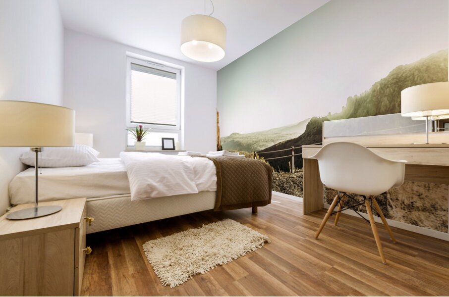 Rugged mountain trail Mural print