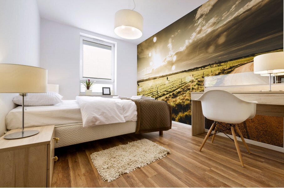 Australian rural dirt road  Mural print