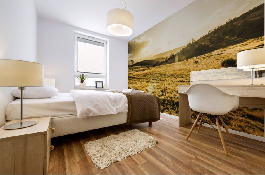 Sunburnt summer plain Mural print