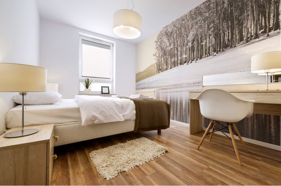 Infrared Lake Samsonvale Mural print