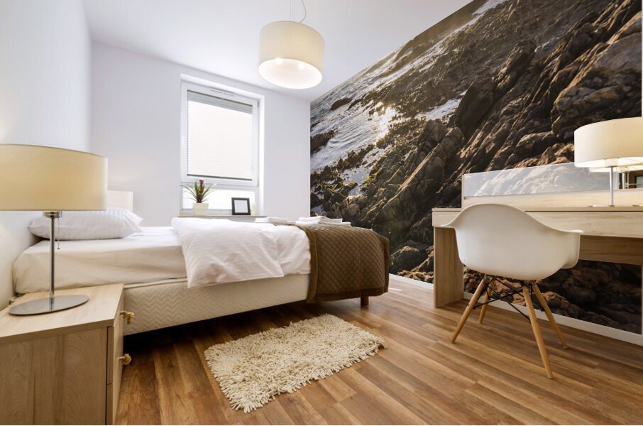 Shore rays Mural print