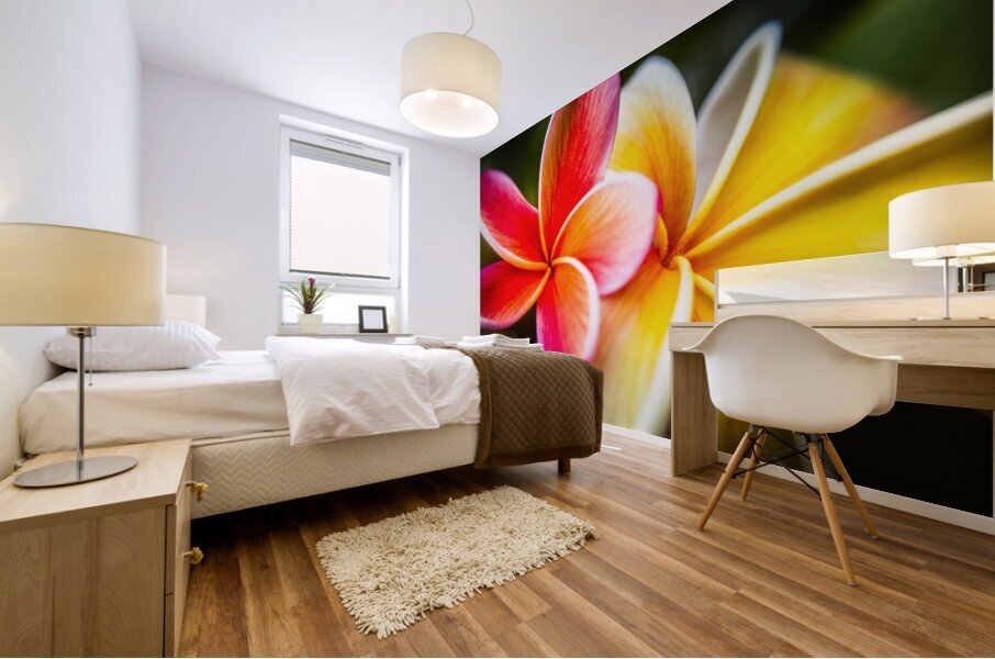 Colorful tropics Mural print
