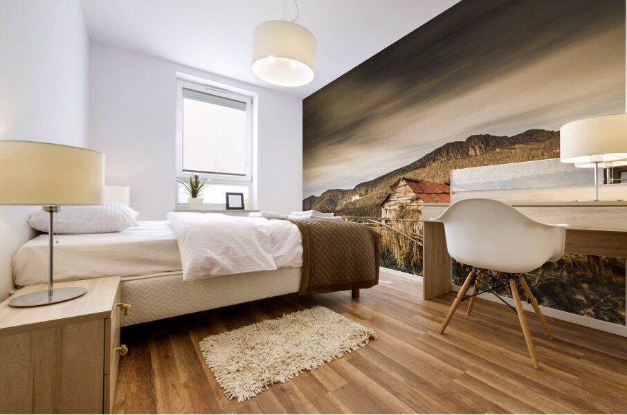 Beauty in rural dilapidation Mural print